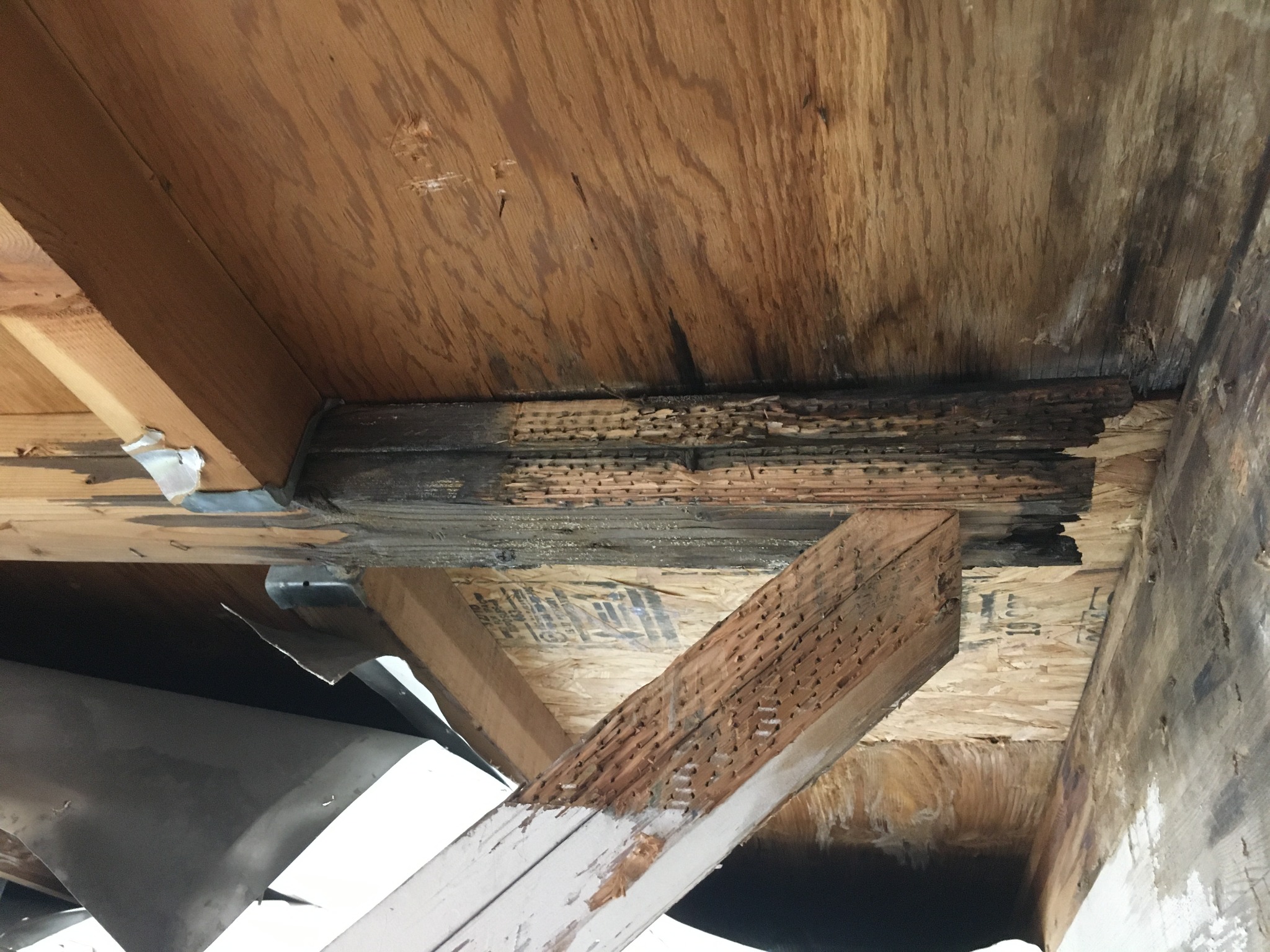 Fire-damaged wood roof framing